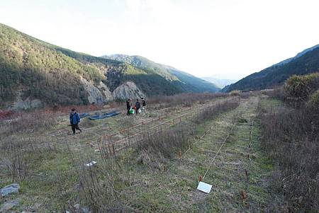 武陵廢耕地