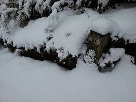 雪霸雪景現況1