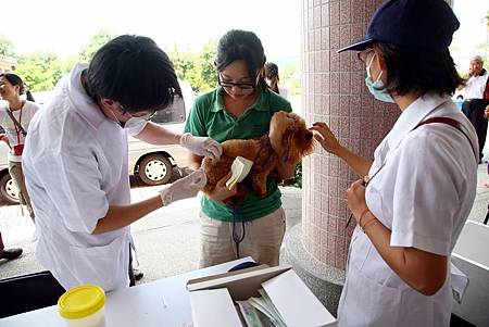 預防狂犬病 3、4月疫苗巡迴注射將開跑