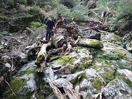 登山自治條例1