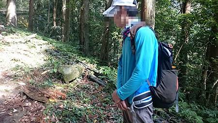 登山亂帶走林木登山客觸法送辦