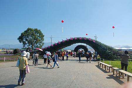 花海首日5