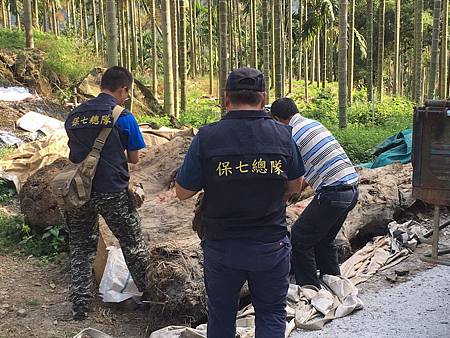 開怪手竊取河床滯留木男子遭法辦