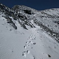 雪山步道積雪吳建宏1.jpg