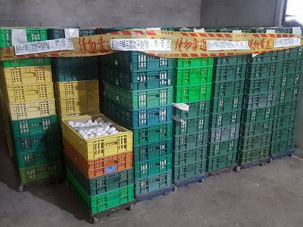 N高昇雞蛋封存.jpg N高昇雞蛋封存.jpg