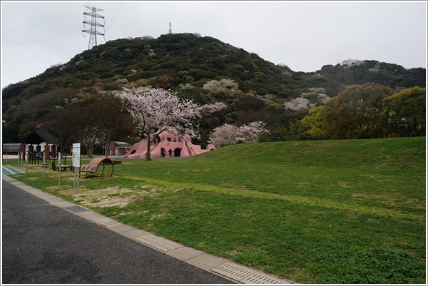 DSC09071.JPG DSC09071.JPG