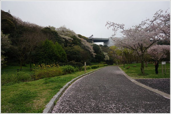 DSC09085.JPG DSC09085.JPG