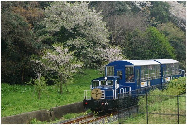 DSC09098.JPG DSC09098.JPG