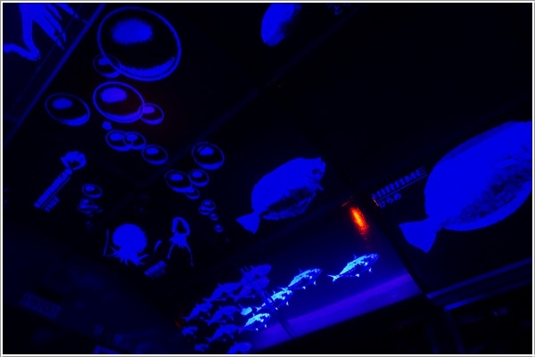 DSC09113.JPG DSC09113.JPG