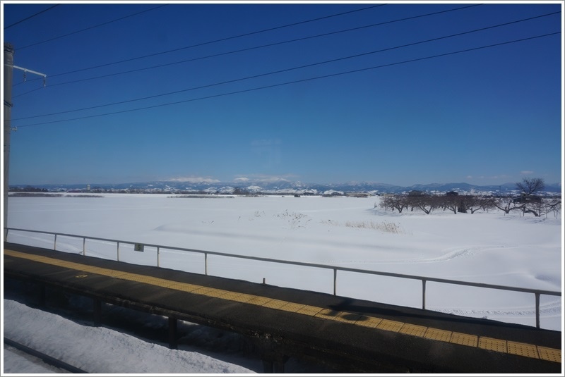 DSC09886.JPG DSC09886.JPG