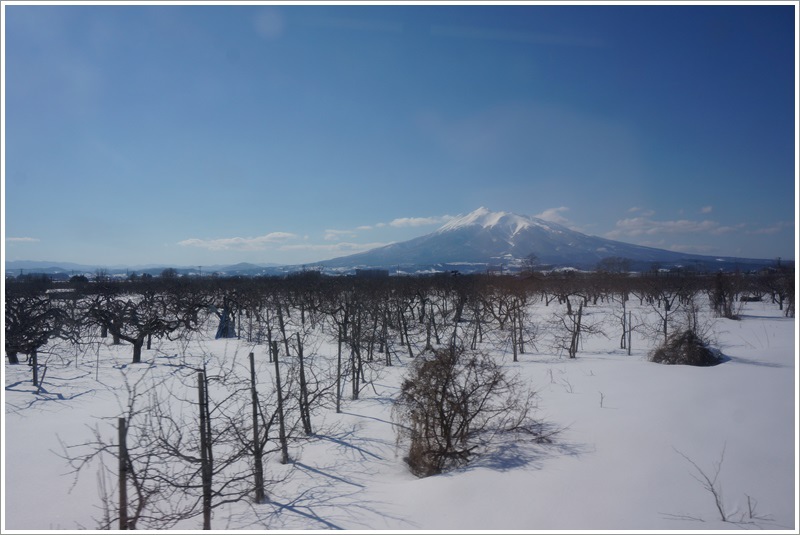 DSC09903.JPG DSC09903.JPG