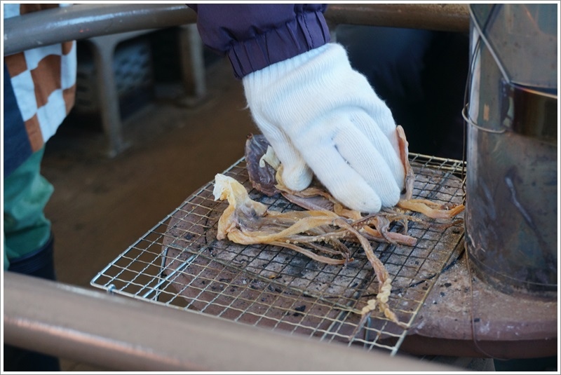 DSC09953.JPG DSC09953.JPG