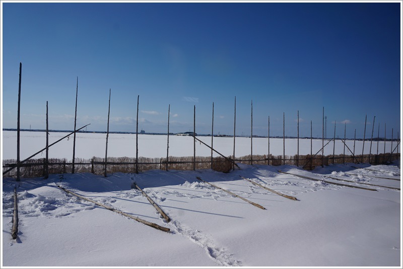 DSC09959.JPG DSC09959.JPG