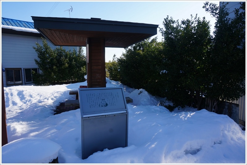 DSC10005.JPG DSC10005.JPG