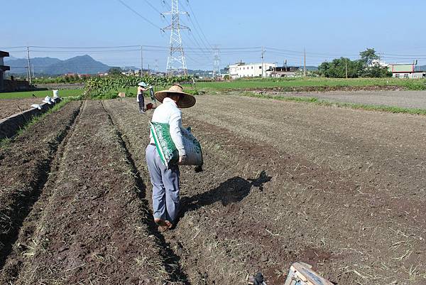 綠詠橫山租地試作0819 (21)-下有機肥料.jpg