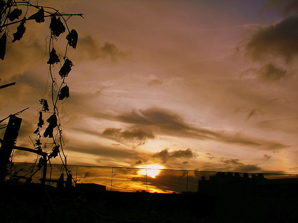 SANY0058_2.JPG SANY0058_2.JPG
