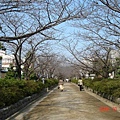 鎌倉若宮大路WAKAMIYA-OJI st.