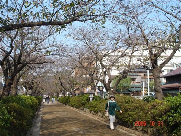 鎌倉若宮大路WAKAMIYA-OJI st.