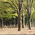 井之頭公園