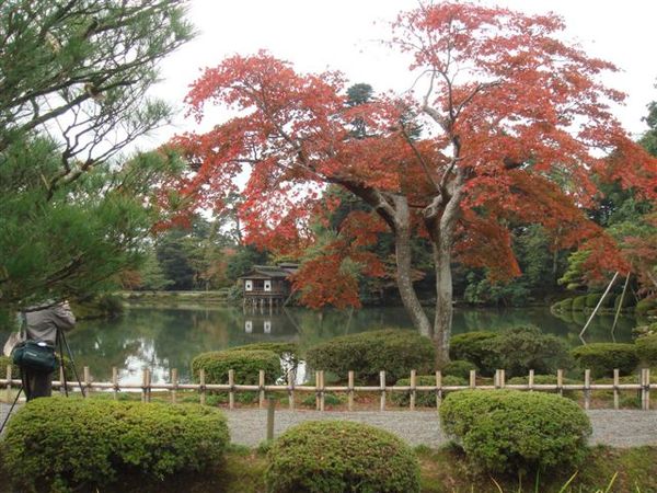 兼六園~霞池