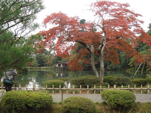 兼六園~霞池