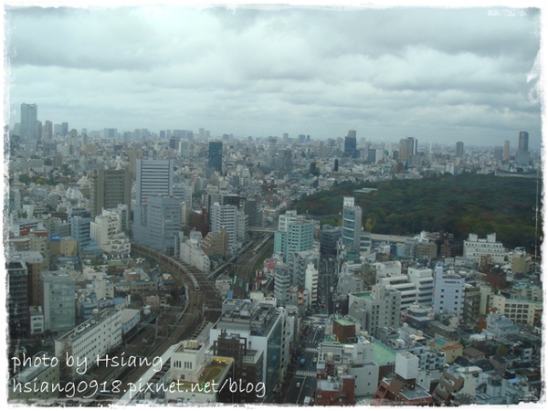 飯店房間VIEW