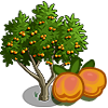tree_apricot_icon.png tree_apricot_icon.png