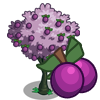 tree_plum_icon.png tree_plum_icon.png