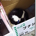 2012-2D猴硐 (11).JPG