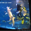 20120714海洋公園 (12)