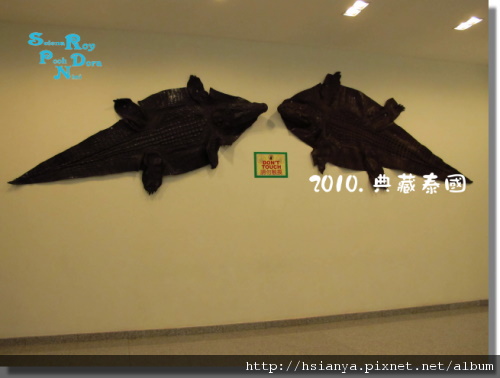 P991120鱷魚皮工廠.JPG