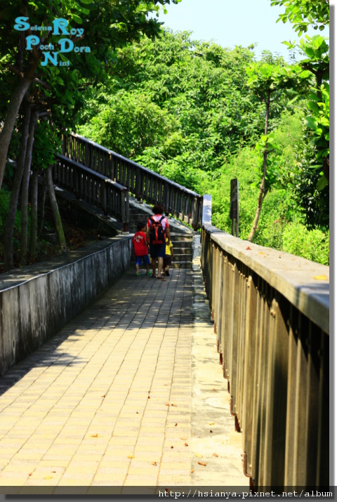 P9908-小琉球花瓶石步道 (12).JPG