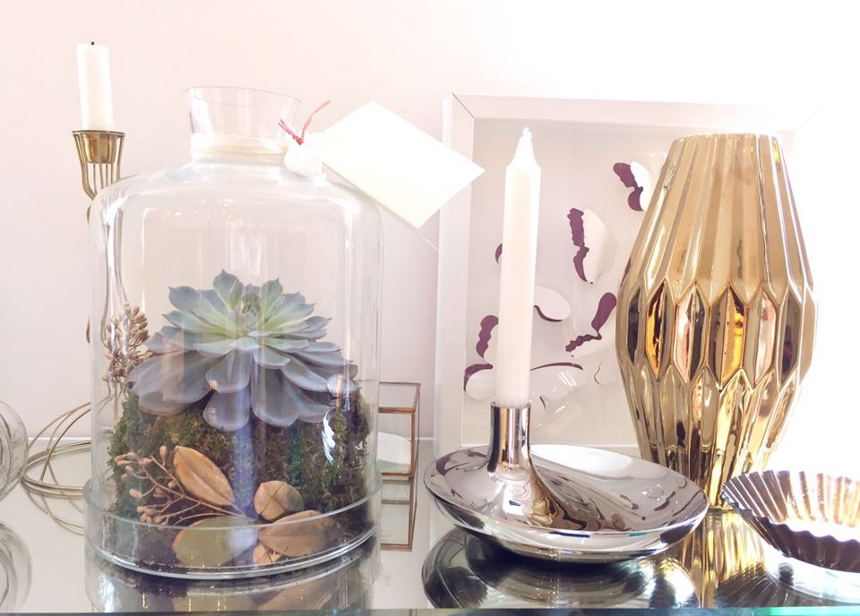 12212190_10153748688911170_627181621_n 12212190_10153748688911170_627181621_n