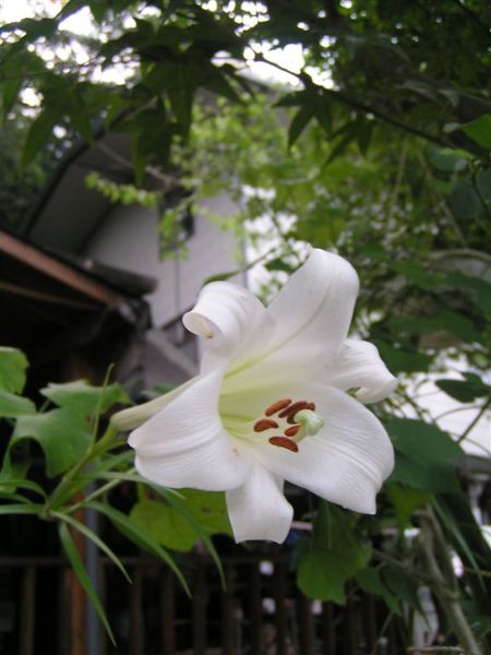 PICT0049.JPG