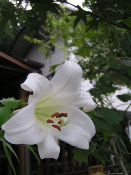 PICT0051.JPG
