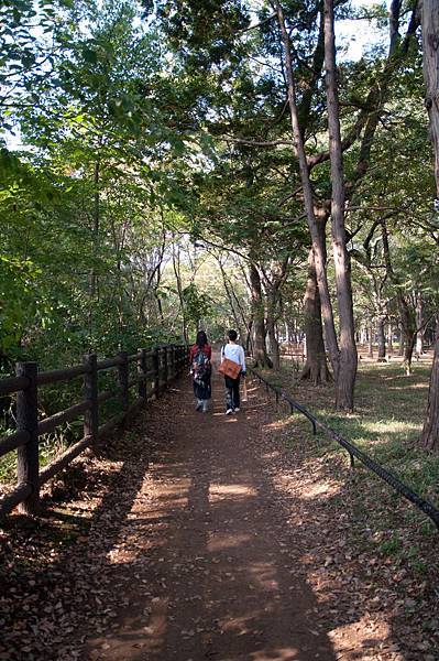 井的公園