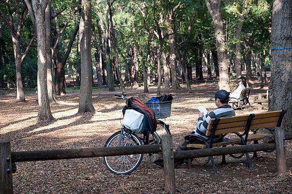 井的公園