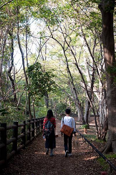 井的公園