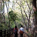 井的公園