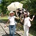兩個女生加上傘，看起來好像馬戲團