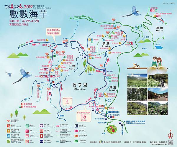 台北陽明山 滿山滿谷薄霧飄渺海芋田 青楓步道體驗魔幻森林風情 親子一日遊首選 輕旅行