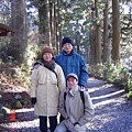 筆直的杉木道 是以前通往東京的古棧道