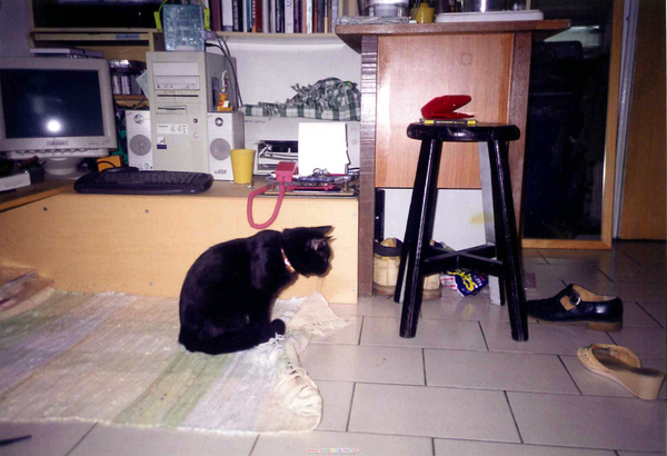 05.jpg 05.jpg