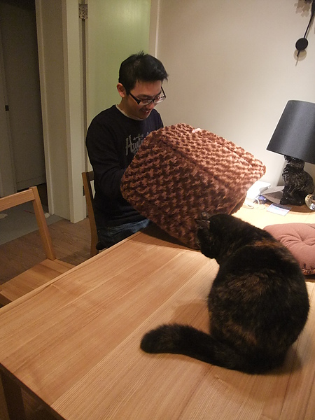 DSCF9809.JPG DSCF9809.JPG