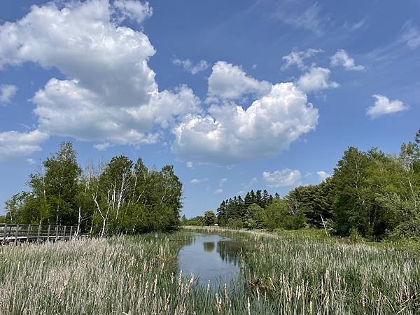 Sackville Waterfowl Park風光.jpg