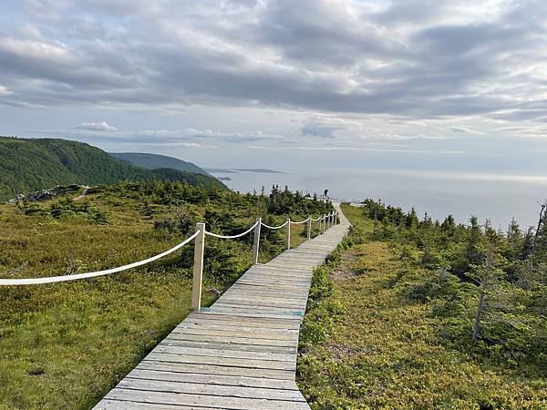 skyline Trail 木棧道.jpg