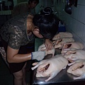 20131008 214.JPG