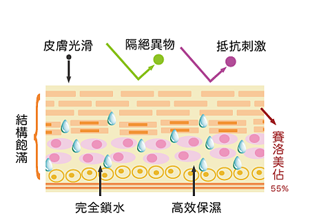 CERAMIDE充足.png