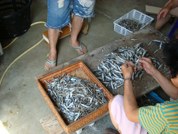 這魚~超好吃!