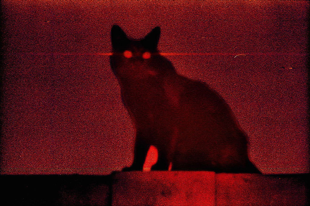 外星貓000033A.jpg 外星貓000033A.jpg
